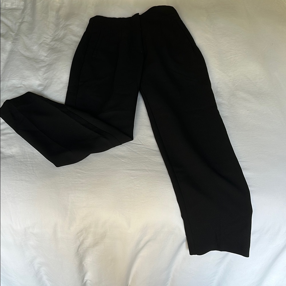 Zara Sleek Black Pants